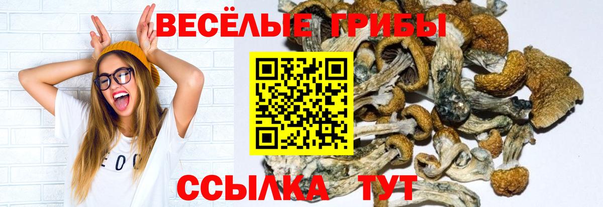 Псилоцибиновые грибы MAGIC MUSHROOMS  Вход с VPN  Сергиев Посад 